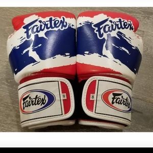 Fairtex Gloves 10 oz BGV-01
